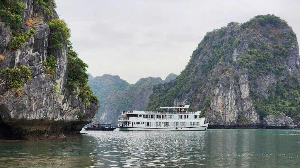 Lily Cruise 3 Days 2 Night